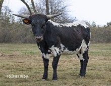 Pretty Over and Under