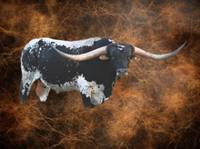 SEMEN-HUBBELLS 20 GAUGE-1 SEXED STRAW